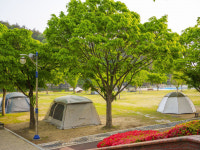 영천시, 등록야영장 4곳 2025년 지원사업 최종 선정