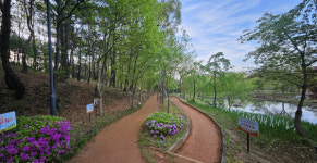 [걸어서 힐링속으로-경북을 걷다] 63. 경북도청  천년숲