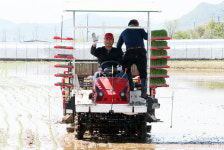 상주시, 미소 진품 첫 모내기로 본격 영농 시작…고품질 쌀 생산 박차