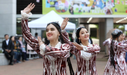 [포토] 아름다운 전통춤의 향연…대구 봉산페스타