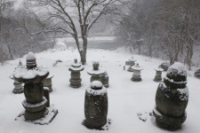 교토를 물들인 대구의 시선…한·일 사진예술 교류전 성료
