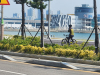 포항 송도동 자전거도로 설치 논란…교통량 많은 도로 옆, 안전성 우려