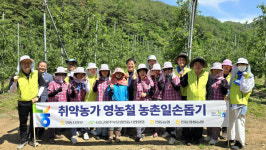 농협 안동시지부·고향사랑주부모임, 취약농가 일손돕기 구슬땀