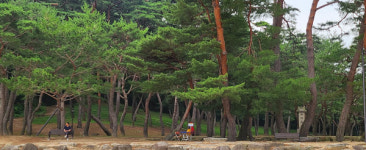 [걸어서 힐링속으로-경북을 걷다] 71. 예천 호명읍 선몽대