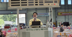 복숭아·자두·살구…영천 여름 과일 한창, 농민도 소비자도 활짝