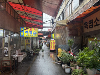 개 식용 종식 앞둔 칠성시장, 지원 부족에 상인들 한숨