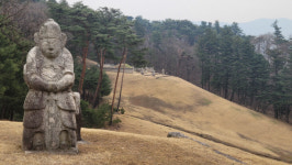 [하인수 박사의 조선왕릉 이야기] 14. 조선왕릉 광릉