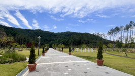 [걸어서 힐링속으로-경북을 걷다] 76. 구미다온숲