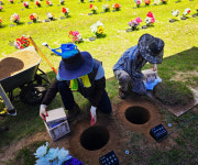 의성 화장장, 윤달 막바지 개장유골 이장 북새통