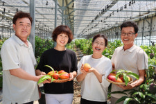 청도군, 애플 망고 명품 브랜드 육성 나서…아삭함·달콤함 담은 희망의 열매