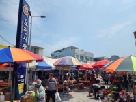 포항 오천시장, 외부 노점과 공존 속 활력 회복 모색