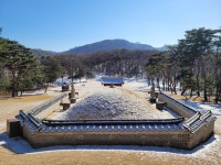 [하인수 박사의 조선왕릉 이야기] 19. 햄릿의 첫 번째 부인이자 7일의 왕비 온릉(溫陵)