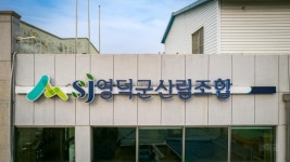 영덕군산림조합, 잇단 비리 의혹에 신뢰 추락