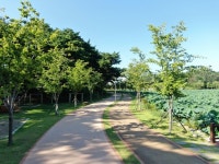 [걸어서 힐링속으로 경북을 걷다] 87. 울진 연호정 둘레길