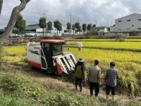 영천시 남부동노인분회, 사랑의 벼 베기로 따뜻한 나눔 실천