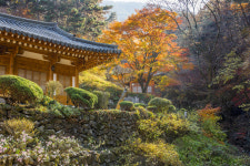 [포토] 경주 용담정의 늦가을