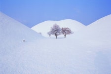설 연휴 경주 여행, 불국사·동궁과 월지·황리단길까지 완벽 코스
