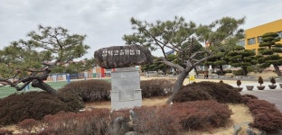 100년 전통 영천초 이전 논의 재점화…학생 안전·도시 균형발전 과제로