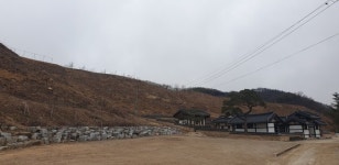 청송군 산불피해 산림 복구 본격화…431억 투입 맞춤형 숲 재생 추진