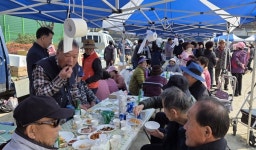 모야! 외침 속 하나 된 마을…신녕면민 윷놀이 대회