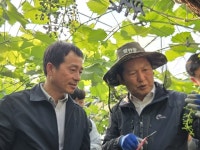 정청래, 상주 포도농가 찾아 위기 진단…가격·기후 대응 시급