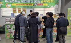 영천 별아마늘 대구 공략…도심 판촉으로 판로 넓힌다