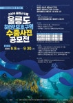 울릉 바다의 숨은 비경 담아낸다…울릉군 수중사진 공모전 개최