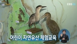 뉴스톡톡 - 어린이 자연유산 체험교육