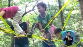 숲 교육 국가 자격증 생긴다