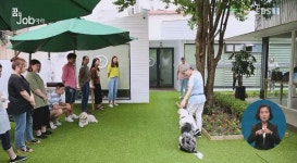 <꿈을JOB아라> 서울시-자치구 상향적 일자리사업, 펫시터 양성과정