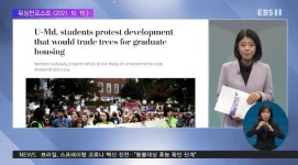 <글로벌 pick> 숲을 지켜라 기숙사 건립에 반대한 학생들