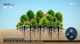 도시를 변화시키는 작은 숲