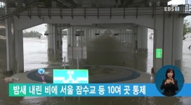 밤새 내린 비에 서울 잠수교 등 10여 곳 통제