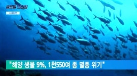 해양 생물 9%, 1천550여 종 멸종 위기