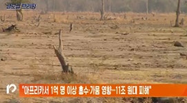 아프리카서 1억 명 이상 홍수·가뭄 영향…11조 원대 피해
