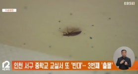 인천 서구 중학교 교실서 또 빈대… 3번째 출몰