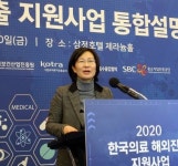 내년 해외진출, 정부-민간기업 참여하는 팀 코리아로