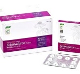 코로나19에 면역력 관심…학부모 에키나포스 문의 잇따라