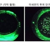 비엔텍 “미세먼지=안과질환 원인, 과학적 입증”… 신약 후보 5종 발굴