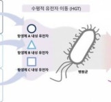 이지놈, 슈퍼 박테리아 출현 원인 ‘수평적 유전자’ 이동 분석 플랫폼 발표