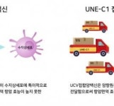 자이메디, 연세대 약학대와 암 바이러스 백신 활용 새 면역 증강물질 개발