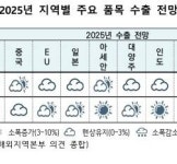 2025년 K-뷰티 수출 기상도  맑음