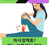 [푸드 테라피] 하지정맥류, 먹는 기름부터 체크