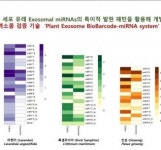지에프씨생명, 인-코스메틱 글로벌 2025서 식물 miRNA 기술력 선보여