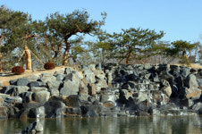 베일 벗는 대전 유림공원