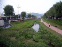 천안 가로지르는 생태하천 부활