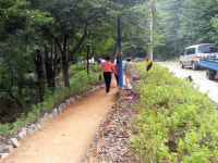 가을 꽃내음 맡으며 맨발 황톳길 체험