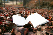 11월에 읽을 만한 책-한국간행물윤리委 선정
