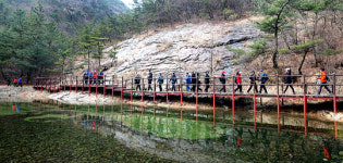 봄 산행 싱그러움 만끽