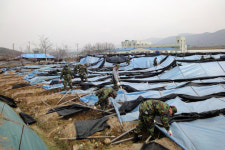 인삼재배 농가 봉사활동